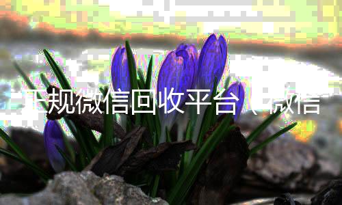 正规微信回收平在线收微信台（微信回收平台联系方式）